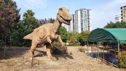 Dinazor Park Çürümeye Terk Edildi!