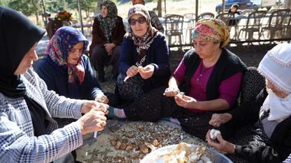 Japonların Gözdesi Sedir Mantarı Çıktı
