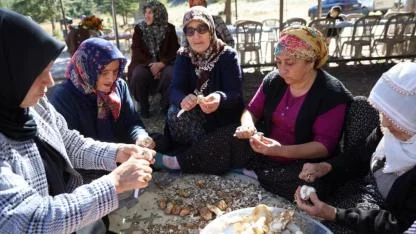 Japonların Gözdesi Sedir Mantarı Çıktı