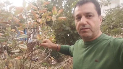 Kasım Ayında Çiçek Açıp Meyve Verdi