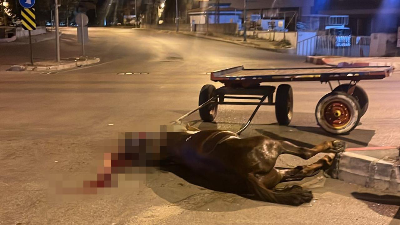 Kavşakta Feci Kaza:Araç Hasar Aldı, At Telef Oldu