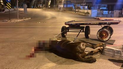 Kavşakta Feci Kaza:Araç Hasar Aldı, At Telef Oldu