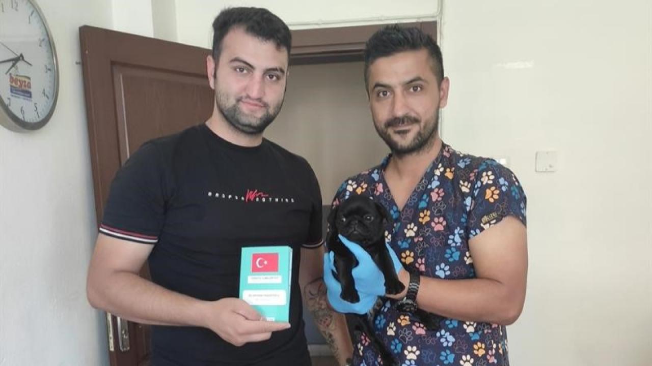 Kedi ve Köpek Sahipleri Dikkat! Son Gün 31 Aralık