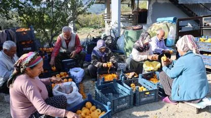 Köy Değil, Açık Hava Fabrikası!