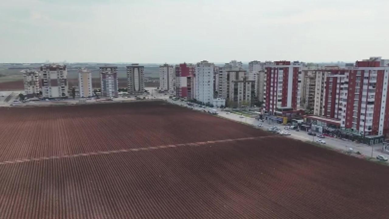 Apartmanlar Arasında Tarım Yapmaya Devam Ediyor