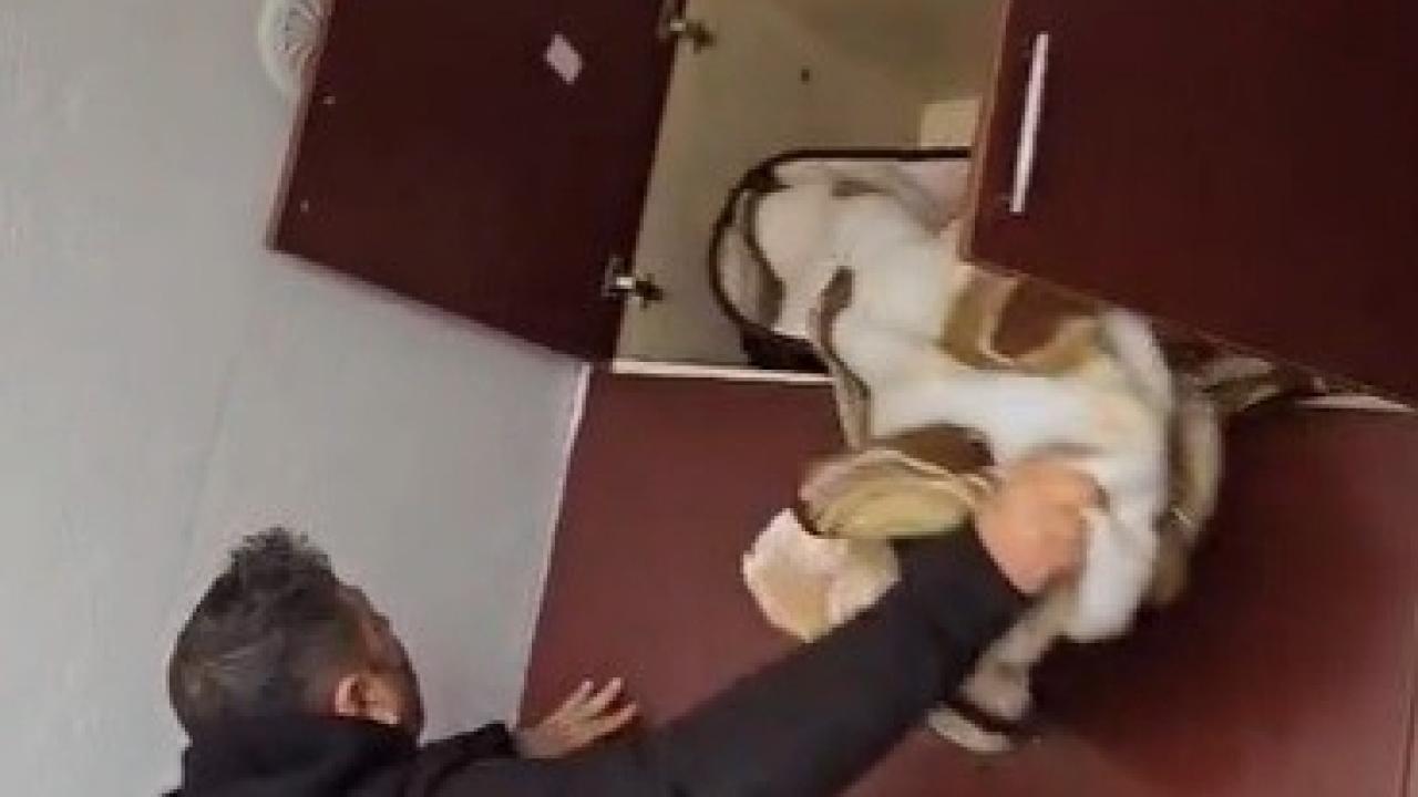 Aranan Şahsın Yakalandığı Yer Pes Dedirtti