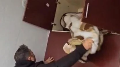 Aranan Şahsın Yakalandığı Yer Pes Dedirtti