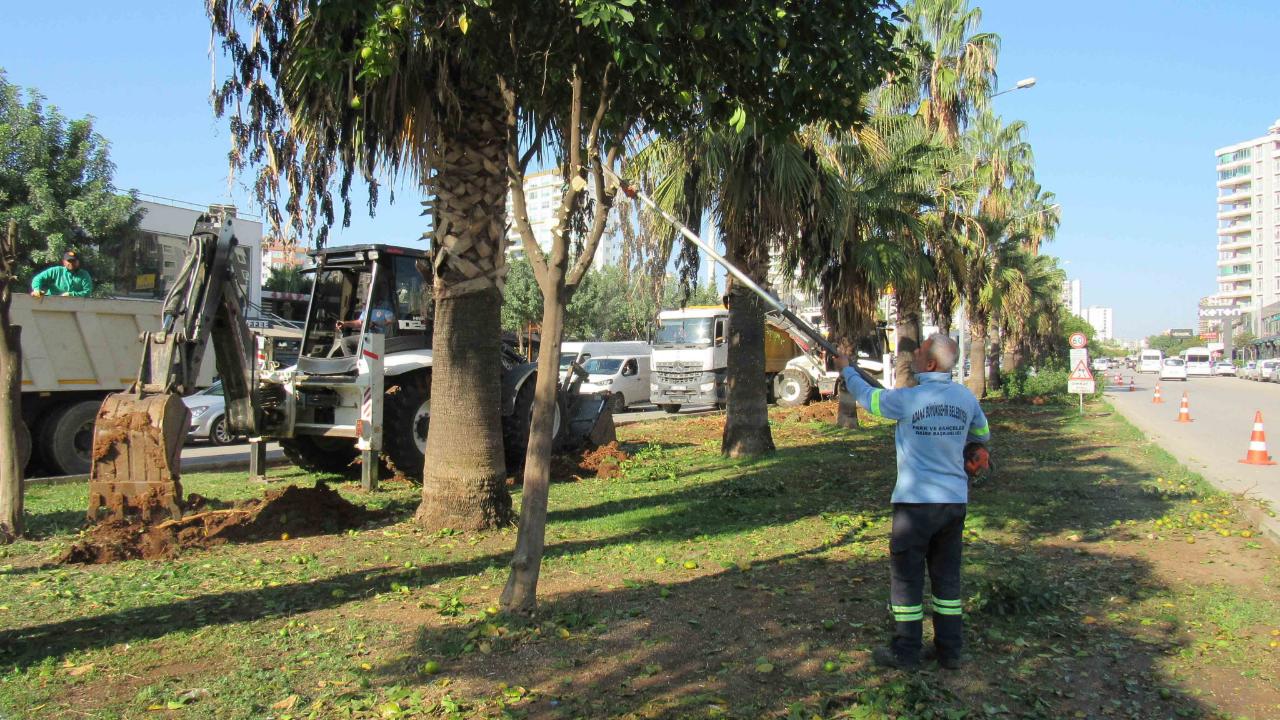 Büyükşehir&#039;den Yeşil Dönüşüm