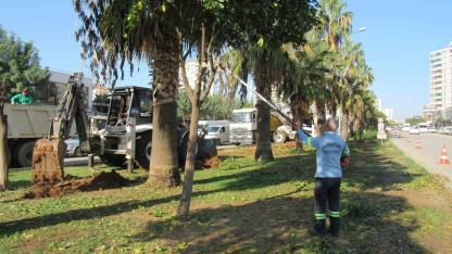 Büyükşehir'den Yeşil Dönüşüm