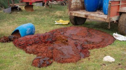 Seyhan'da Tavizsiz Denetim: Sağlığı Tehdit Eden Salçalar İmha Edildi