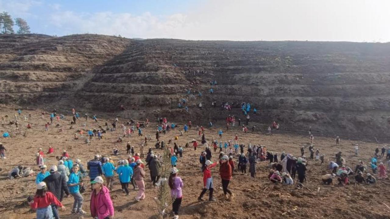 Yanan Ormanlara Nefes Oldular