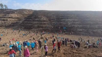 Yanan Ormanlara Nefes Oldular