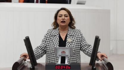 Adana'nın Sorunları Meclis Gündeminde