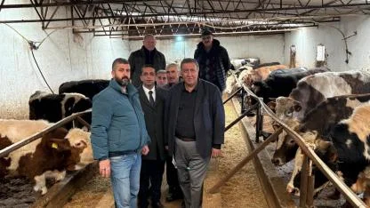 CHP'li Gürer'den ''Şap'' Çağrısı:''Hayvancılığı Vuruyor!''