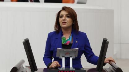 CHP'li Kış'tan Burs ve Öğrenim Kredisi Eleştrisi:''Temel İhtiyaçları Bile Karşılamıyor''