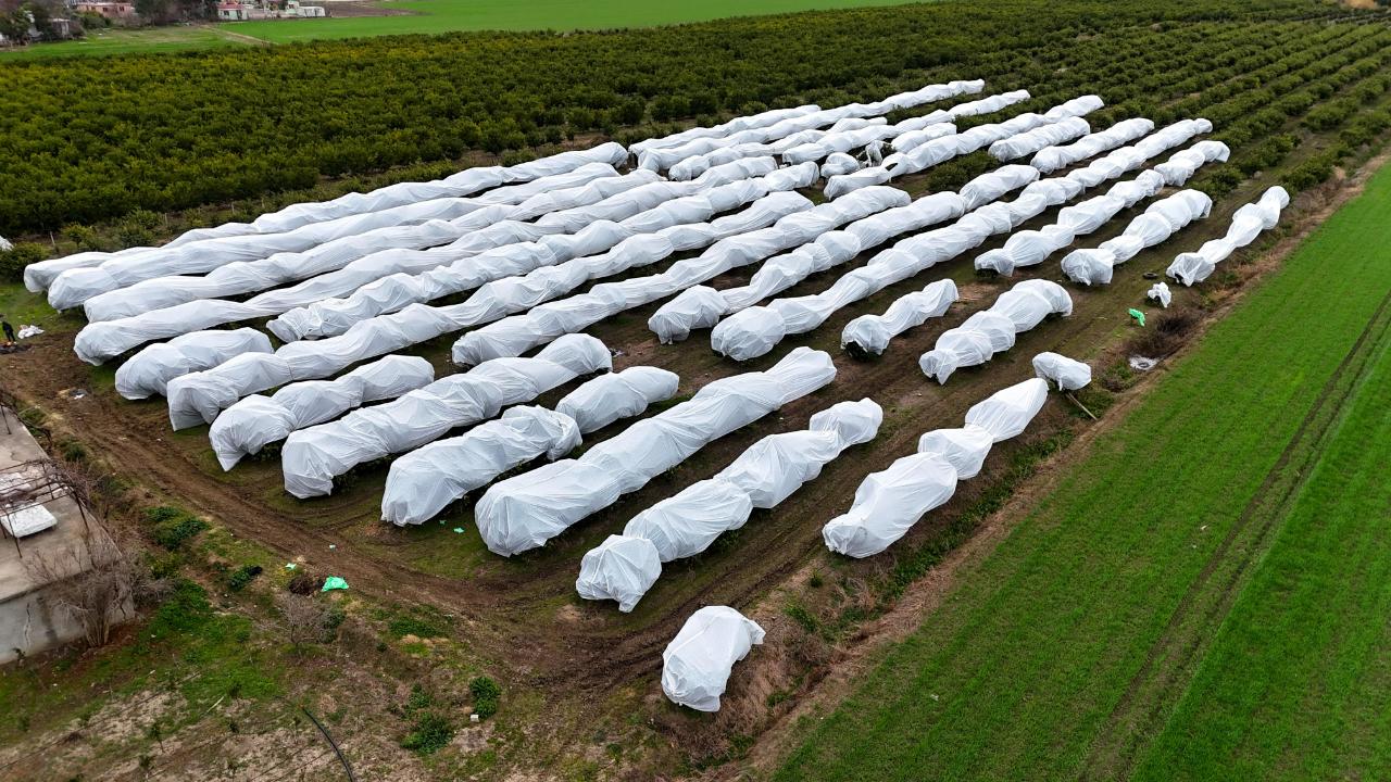 Çukurova Çiftçisinden ''Fileli'' Zirai Don Önlemi