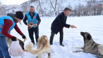 Orman ve Yaylalardaki Canlılara Şefkat Eli