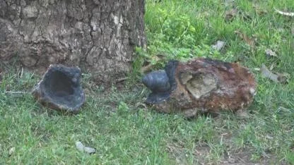 Parkta Patlamamış Askeri Mühimmat Bulundu