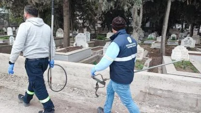 Sokak Köpeği Korkusu! Mahalleli Dışarı Çıkamıyor