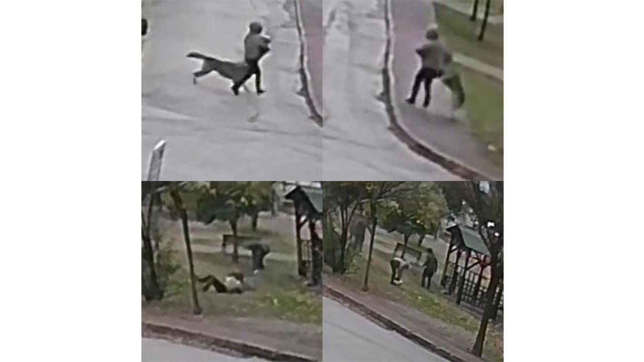 Sokak Ortasında Köpek Saldırdı!