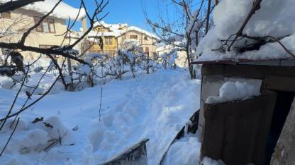 Yaşlı Kadının Acı Ölümü