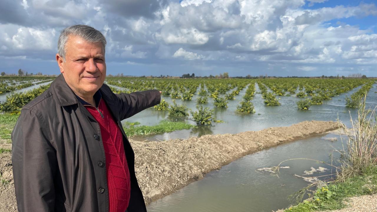 Barut:''Ekili ve Dikili Tarım Alanları 'İhmal' Altında''