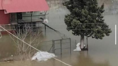Etekli Köyü'nü Su Bastı, Yollar Kapandı