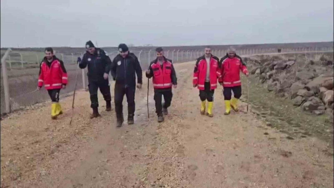 Kayıp Şizofreni Şastası Kadın, Her Yerde Aranıyor