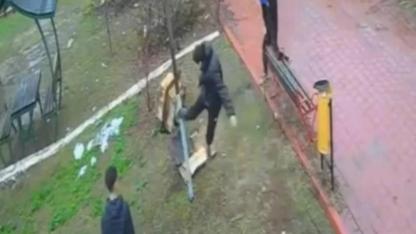 Kuş Yuvasını Parçaladılar!