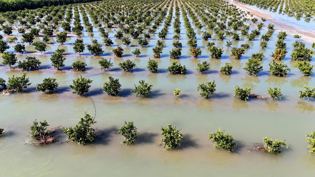 Tarım Arazileri Sular Altında Kaldı!