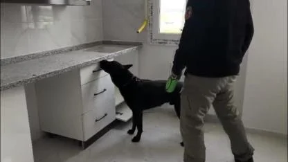 72 Bin Extacy Hap Ele Geçirildi:2 Gözaltı