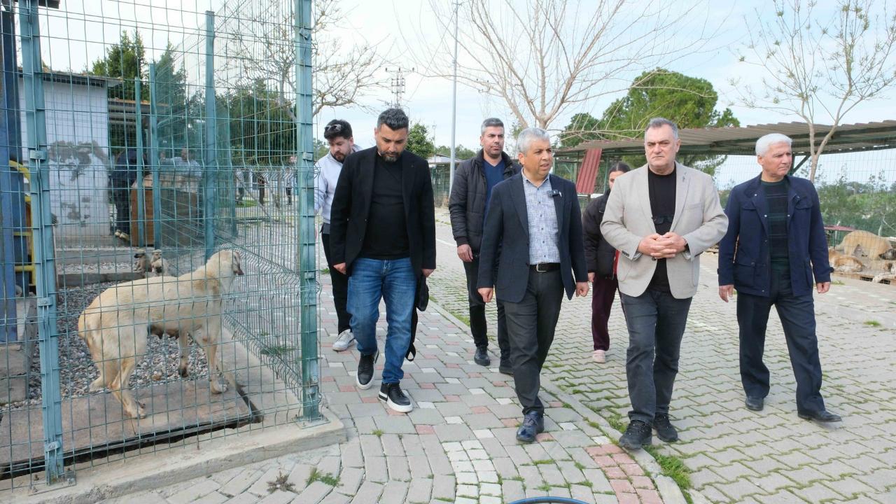 Büyükşehir'den ''Köpek Yeme'' İddilarına Açıklama:“Yeme Ya da Saldırı Değil, Davranış Gereği”