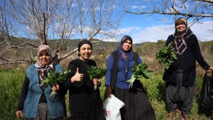 Doğada Zehirli Sofra Şifa