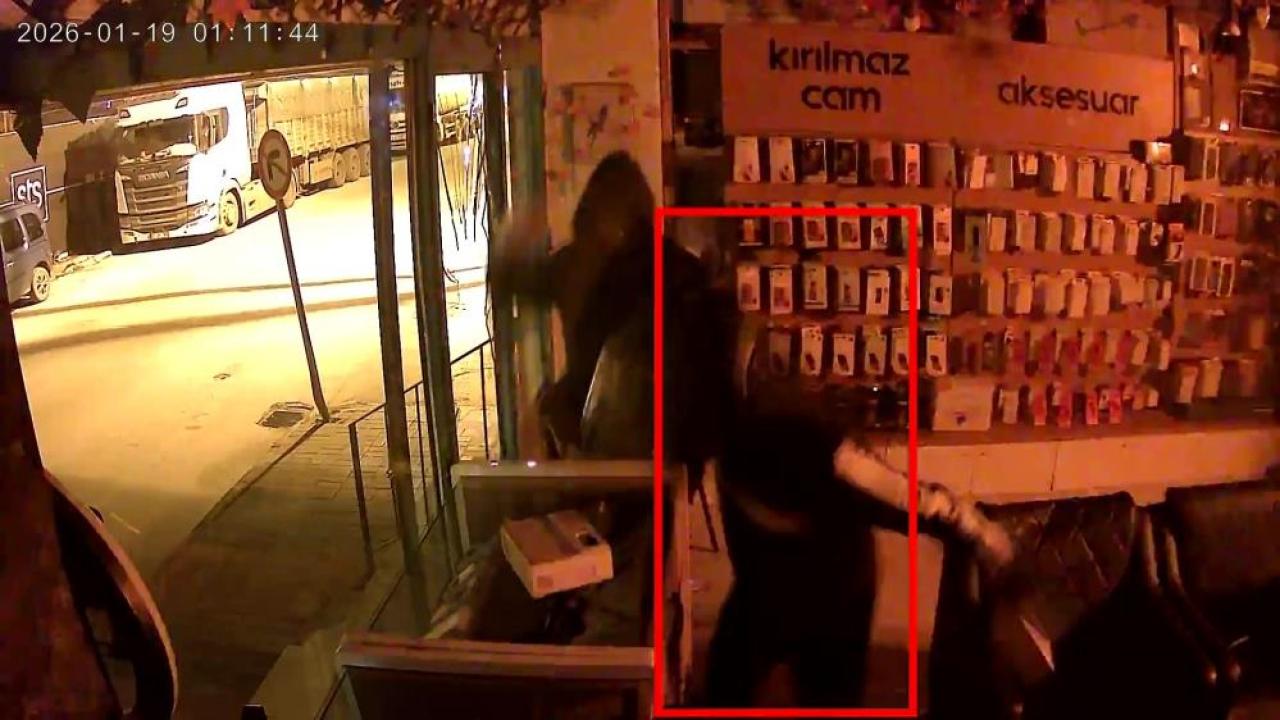 Parke Taşıyla Hırsızlık:2 Tutuklama