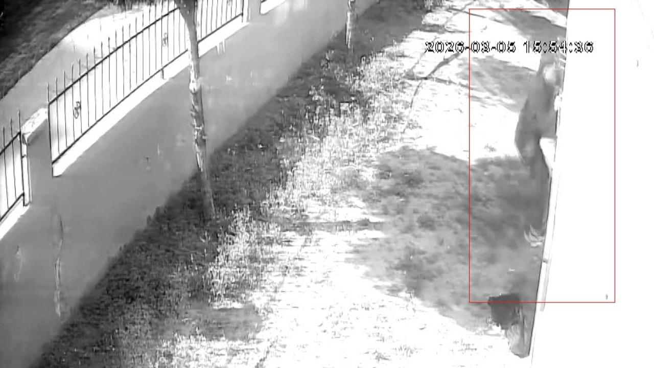 Tırmandı, Çaldı! Laptop Hırsızı Böyle Yakalandı