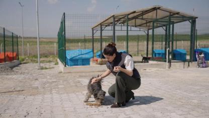 Ceyhan Belediyesi’nden Patili Dostlara Doğal Yaşam Alanı