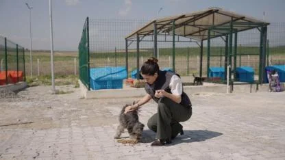 Ceyhan Belediyesi’nden Patili Dostlara Doğal Yaşam Alanı