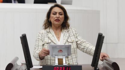 CHP’li Şevkin’den ''Sosyal Hizmetler Kanunu'' Eleştirisi