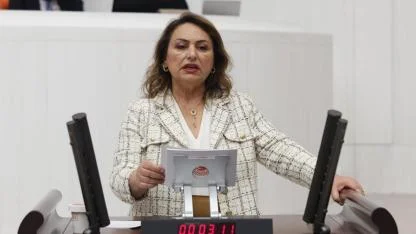 CHP’li Şevkin’den ''Sosyal Hizmetler Kanunu'' Eleştirisi