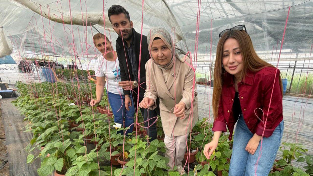 ÇÜ'de Sürdürülebilir Tarım İçin Sera Çiftçi Günü Düzenlendi