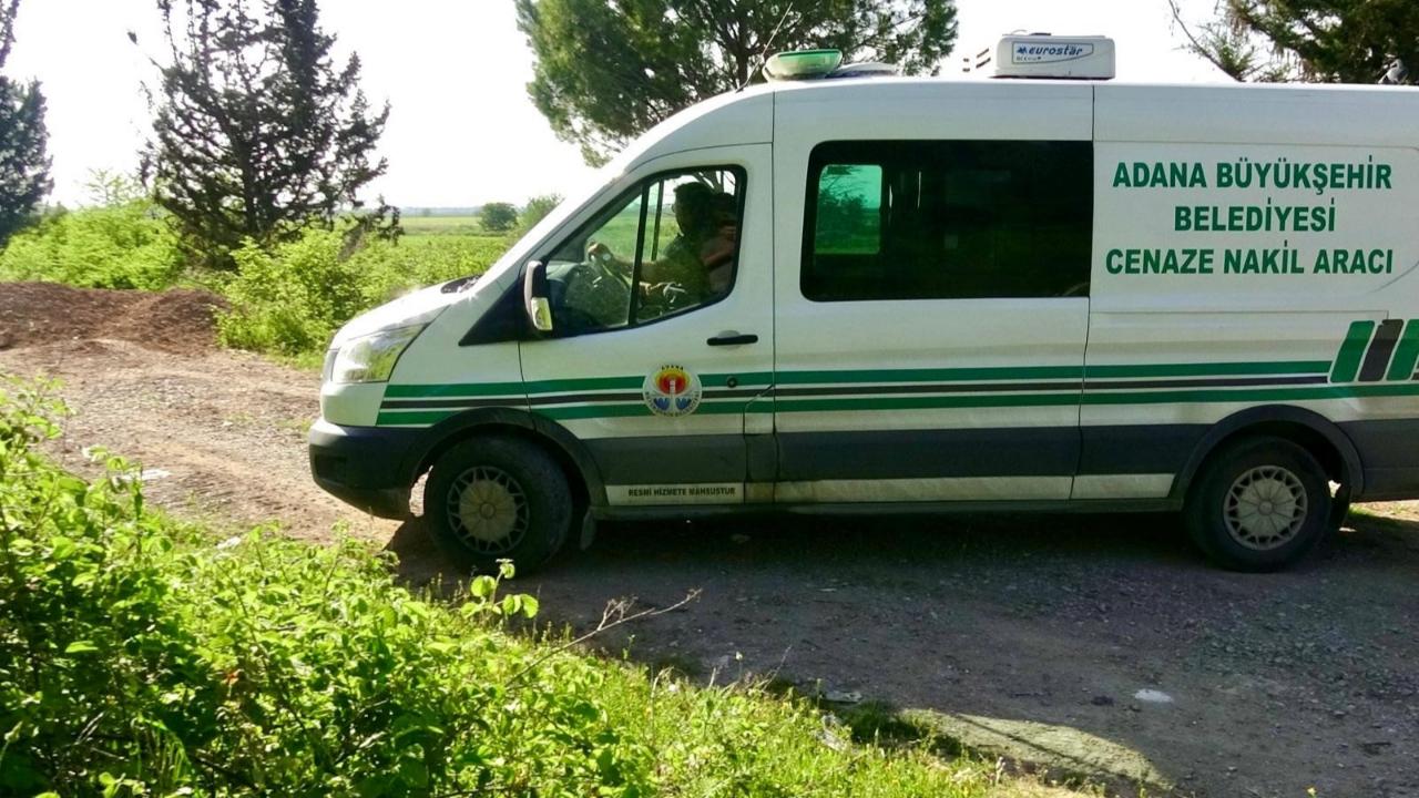 Ormandan Gelen Koku Dehşeti Ortaya Çıkardı