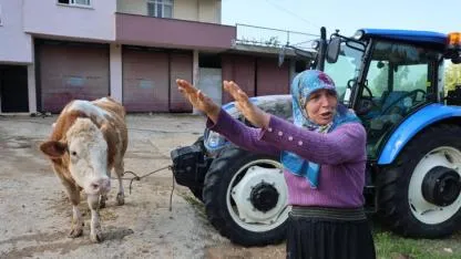 Selde Hayvanları Telef Oldu:"Bir Anda Geldi, Ahırın Üstünü Aştı"