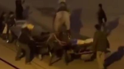 Atlara İşkence!