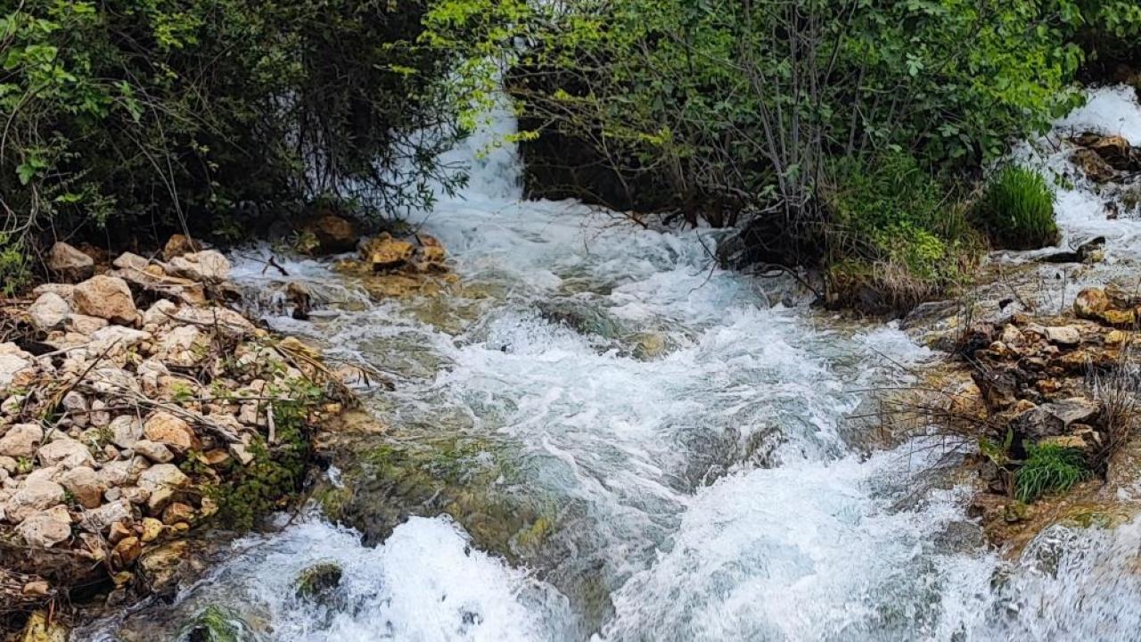 Yağış Sonrası Doğa Şöleni:Mesire Alanı Şelalelere Dönüştü