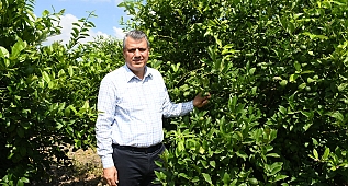Ayhan Barut, Akdeniz Meyve Sineği (AMS) zararlısına karşı Meclis'te bütüncül mücadele istedi 