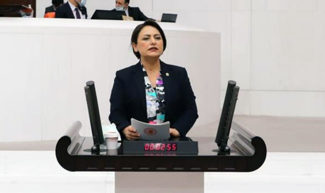 Müzeyyen Şevkin, Adana&#039;nın Sorunlarını Meclise Taşıdı!