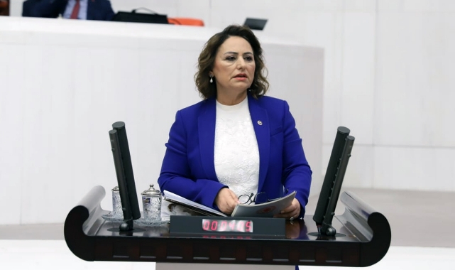 Şevkin, Adana Demirspor Taraftarına Şiddeti Meclise Taşıdı