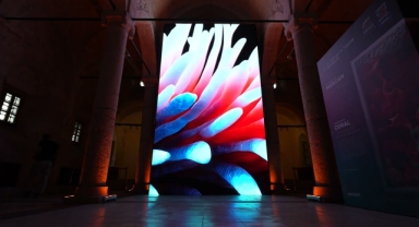 "Makine Halüsinasyonları: Mercan Rüyaları" Sergisi